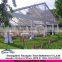 New arrival economic 20*50 m wedding tent