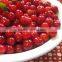 We are supply canned fruits ,sweet canned cherry good quality                        
                                                Quality Choice