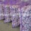 Hot sale fresh Normal White Garlic with best price