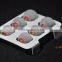 OSTRY OS100 / OS200 / OS300 Earphone Turning Tips