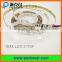 12V Addressable RGB Color Flexible DMX512 LED Strip