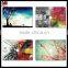 For MacBook sticker body shell stickers protector computer