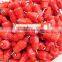 Automatic easily operate nipple chicken drinker factory price