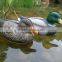 Sell full body duck decoys/mallard decoys/pintail decoys/Teal decoys