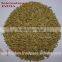Barley for Malt / Barley Seeds / Hordeum Vulgare / Malt Grade Barley