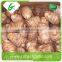 Fresh organic taro price