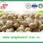 Blanched Peanut kernel in various flavor for you choose