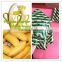 best quality ethylene absorber for fresh banana for sale