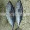 Hot selling frozen best bonito fish with competitive price