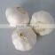 Buy Organic Garlic from Shandong Jinxiang Farm