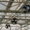 JINLONG Hot Air Hanging Circulation Exhaust Fan