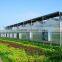 Galvanized steel frame for PC sheet commercial greenhouses