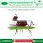 Good Quality Ant Design Garden Planter to Enhance your Garden Look