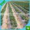 LDPE plastic agricultural mulch film for tomato growth