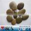 Natural Mixed Color Flat Pebble Stone