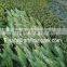 plastic garden walls,vertical green wall