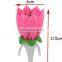 high quality fireworks music rotating birthday candle/decoration for party-electric candle