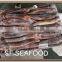 todarodes pacificus in good quality