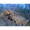 Oak Logs for sale