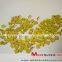 Seed Grade MCD Plate for Monodiamond grown