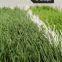 W shape  bi-colors UV resistant Futsal soccer field football artificial grass turf