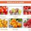 Automatic dates sorting machine potato grading machine fruit grading machine