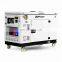 OEM acceptable 10 kw portable silent diesel generator with fast delivery