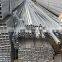 Mild Carbon Cold Rolled Galvanized Welded Square