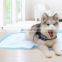 Pet store products wholesale pet cleaning daily necessities cat pet toilet mat puppy dog pee training pads