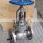 Used For Corrosive Medium DN50 DN150 DN200 SS304 SS316 Globe Valve With Hand Wheel