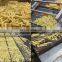 Fresh Frozen French Fries Making Machine Fully Automatic Lays Potato Chips Production Line For Sale