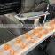 Automatic shaomai forming machine Shaomai Machine high capacity shaomai making machine