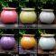 2017 small colorful ceramic flower box succulent plant pots