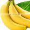 A Nutritious Fresh Banana From Vietnam