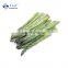 Sinocharm BRC A approved Freezing Asparagus Whole Frozen Asparagus
