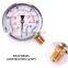 Factory direct supply 0-10 MPA 63 MM Dial size SS 304 dial plate with G 1/4 brass fitting connect pressure gauge