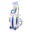 Renlang Frozen Slimming 4 Handles Fat Freezing Double Chin Removal Machine