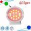 IP65 18X3W Outdoor led Lighting led wall washer