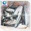 High Quality Frozen hard tail scad in fish