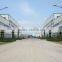 Factoty price sesame seeds oil extraction machine