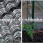 high quality Galvanized or powder coated tomato spiral plant support factory in China