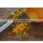 2016 Kitchen Tools Zester Grater. Lemon Zester for Cheese