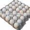 8 sides 6 moulds paper egg tray making machine