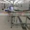 food grade flexlink chain conveyor for food transfer