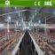 Ground broiler poultry farm equipment