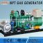 10kW Gas Generator with CE