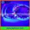 DC5V 60LEDs/m SK6812 SK6818 RGBW LED strip