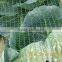 orchard anti hail net