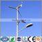 New energy street lamp system/500w 12v/24v wind energy