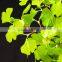 Waterproof ginkgo leaf artificial led light tree